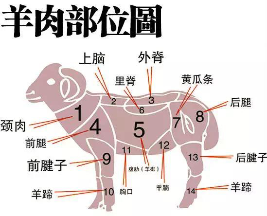 这道美食也是每一位环塔人的最爱! - 新闻速递 - 环塔拉力赛官方网站